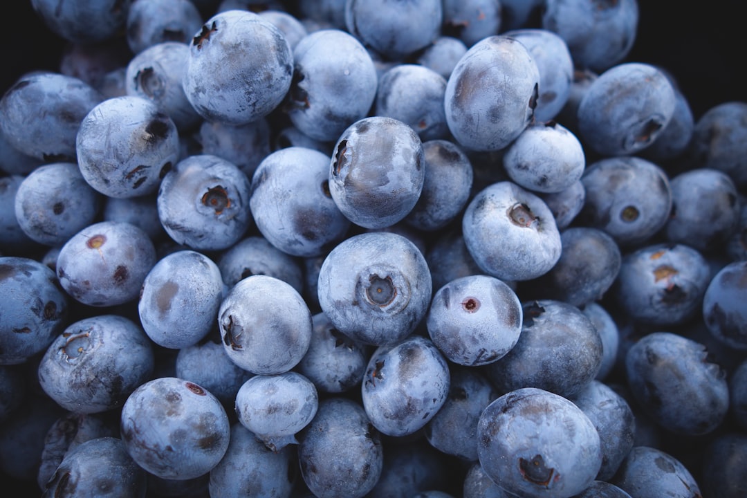 Boost Your Longevity with the Right Foods