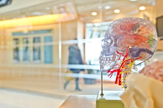 The Science Behind Aging: What You Need to Know