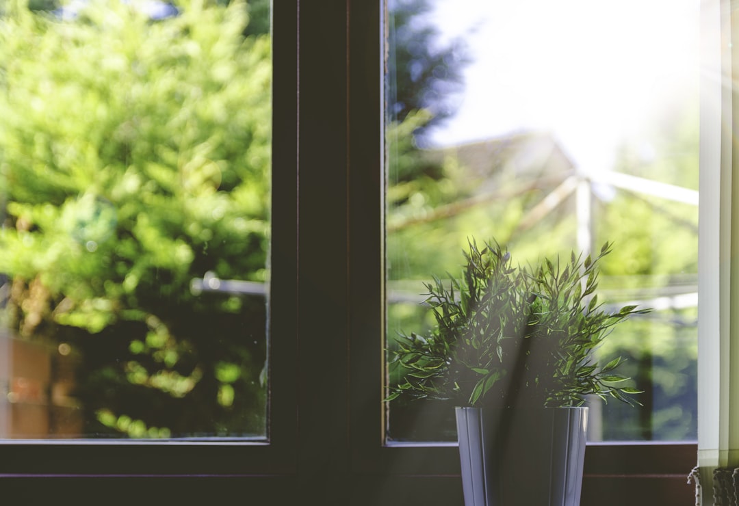Embracing a Positive Mindset for a Longer, Healthier Life
