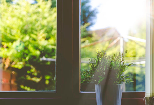 Embracing a Positive Mindset for a Longer, Healthier Life