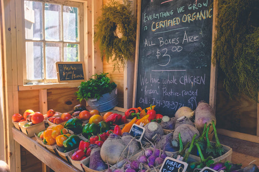Essential Nutrients for Living a Longer, Healthier Life