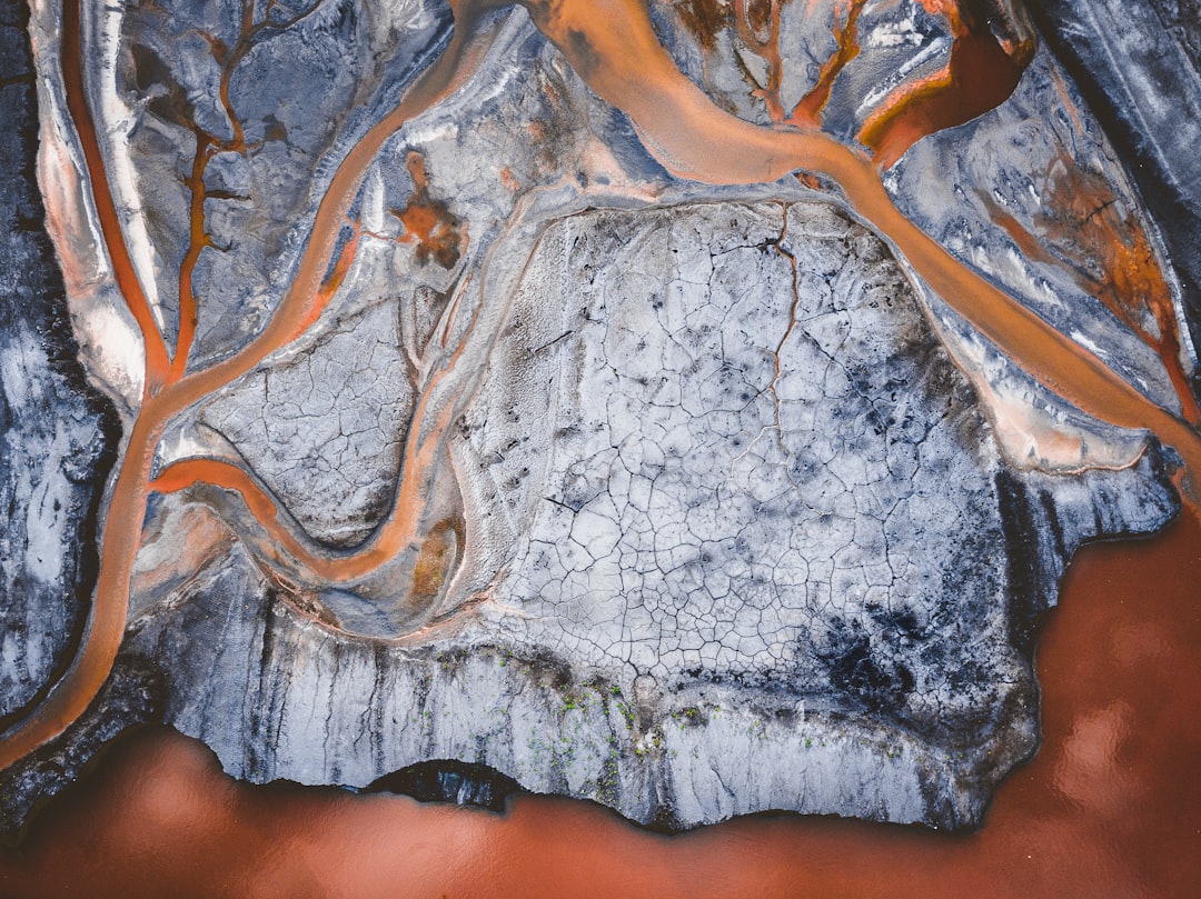 The Impact of Environmental Toxins on Longevity: How Pollution Affects Health in the UK