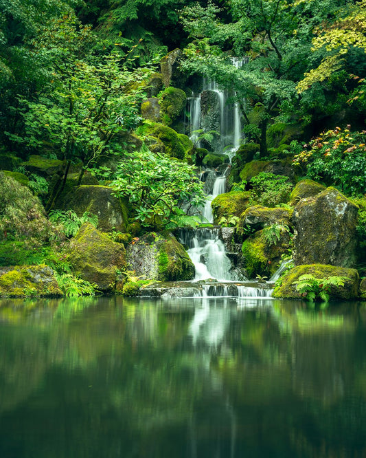 Mental Health and Longevity: The Vital Connection