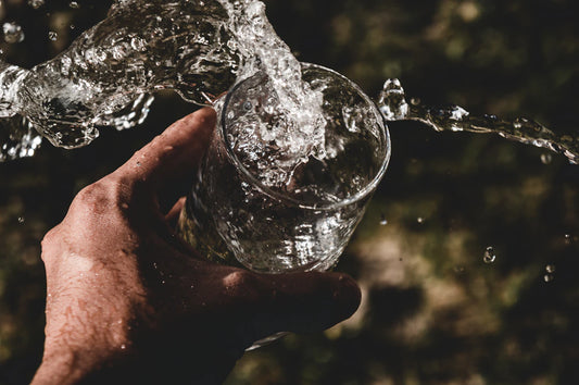 The Secret Elixir Hydration and Longevity