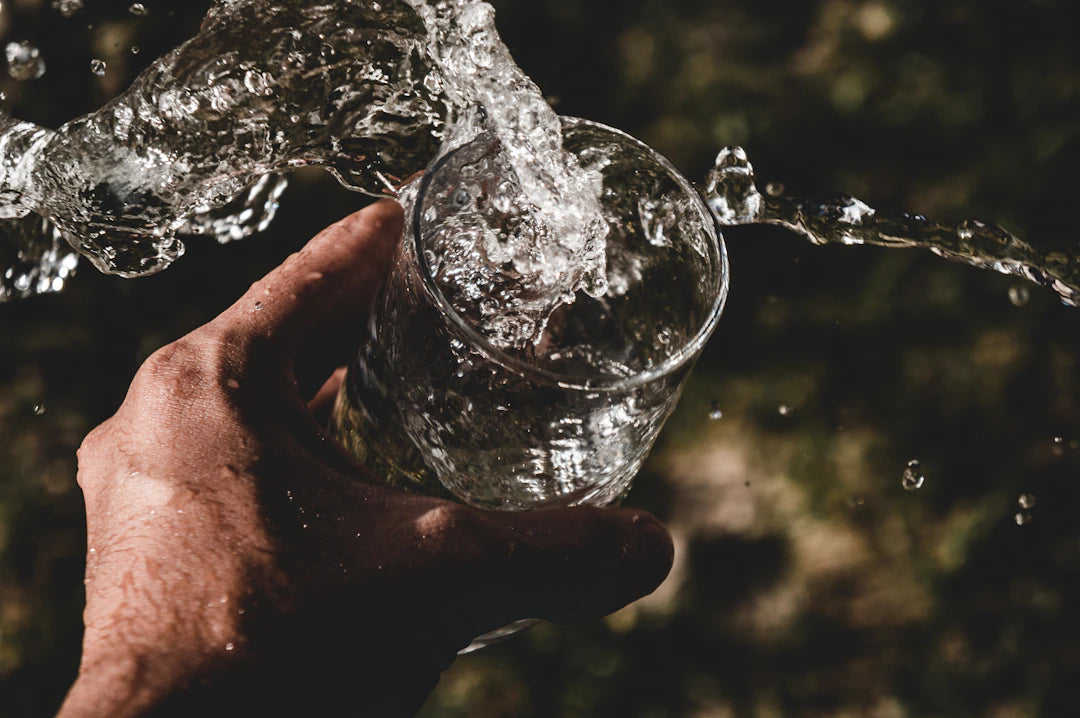 The Essential Role of Hydration in Healthy Aging