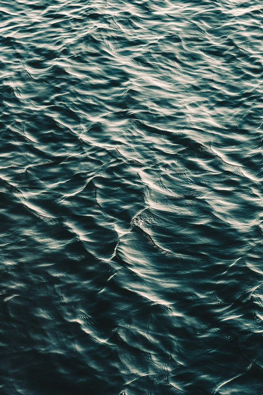 The Vital Connection: Hydration and Longevity