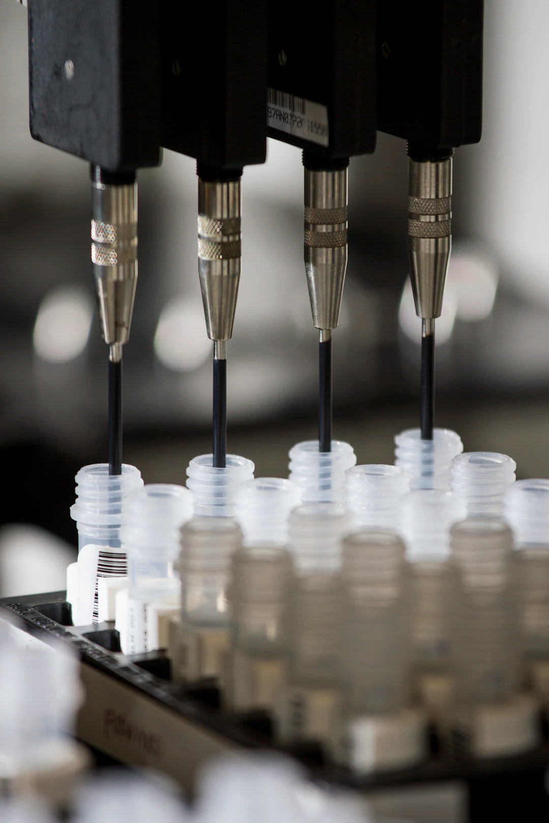Unlocking the Secrets Understanding the Science of Ageing