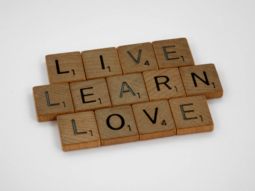 Discover Lifelong Learning for a Sharper Mind