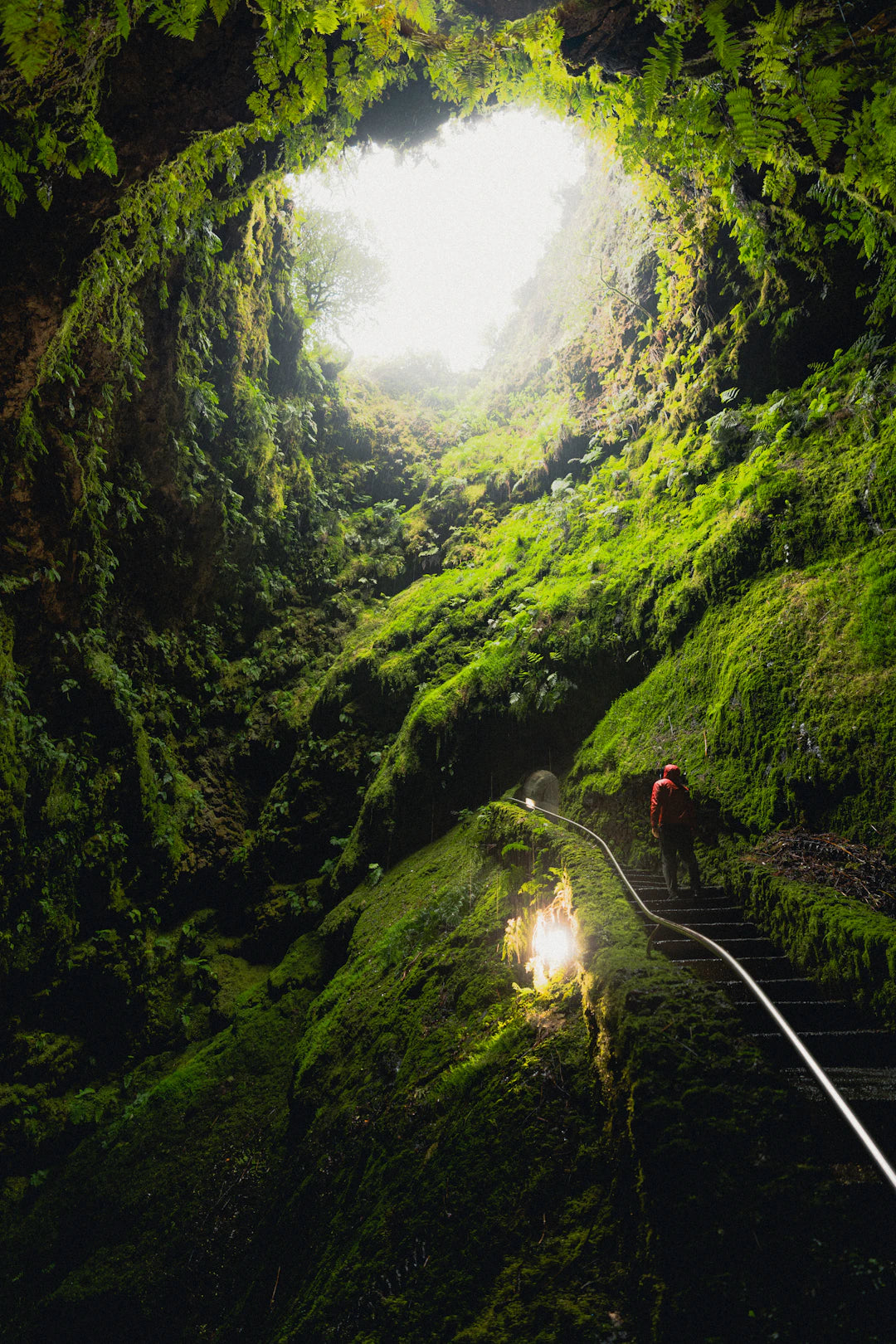 The Key to Longevity Purpose and Meaning in Life
