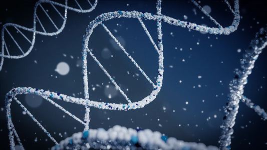 Unpacking Genetics and Its Impact on Lifespan