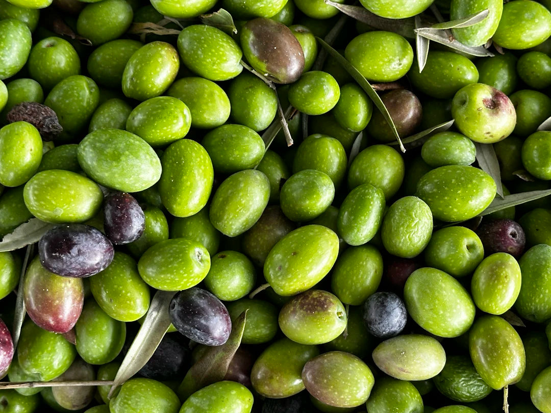 Explore C60 Olive Oil Variants for Enhanced Longevity