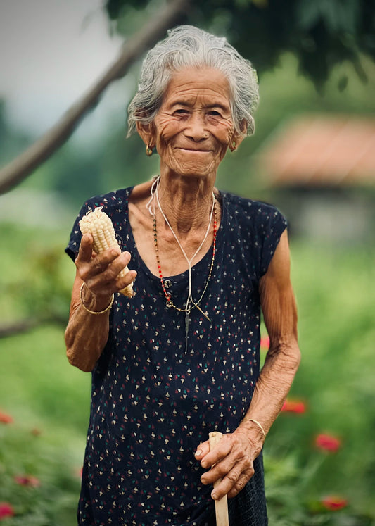 Ancient Practices for Modern Longevity A Timeless Journey