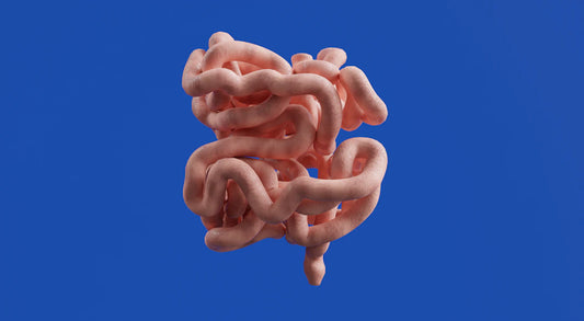 Boost Your Gut Health for a Longer, Happier Life