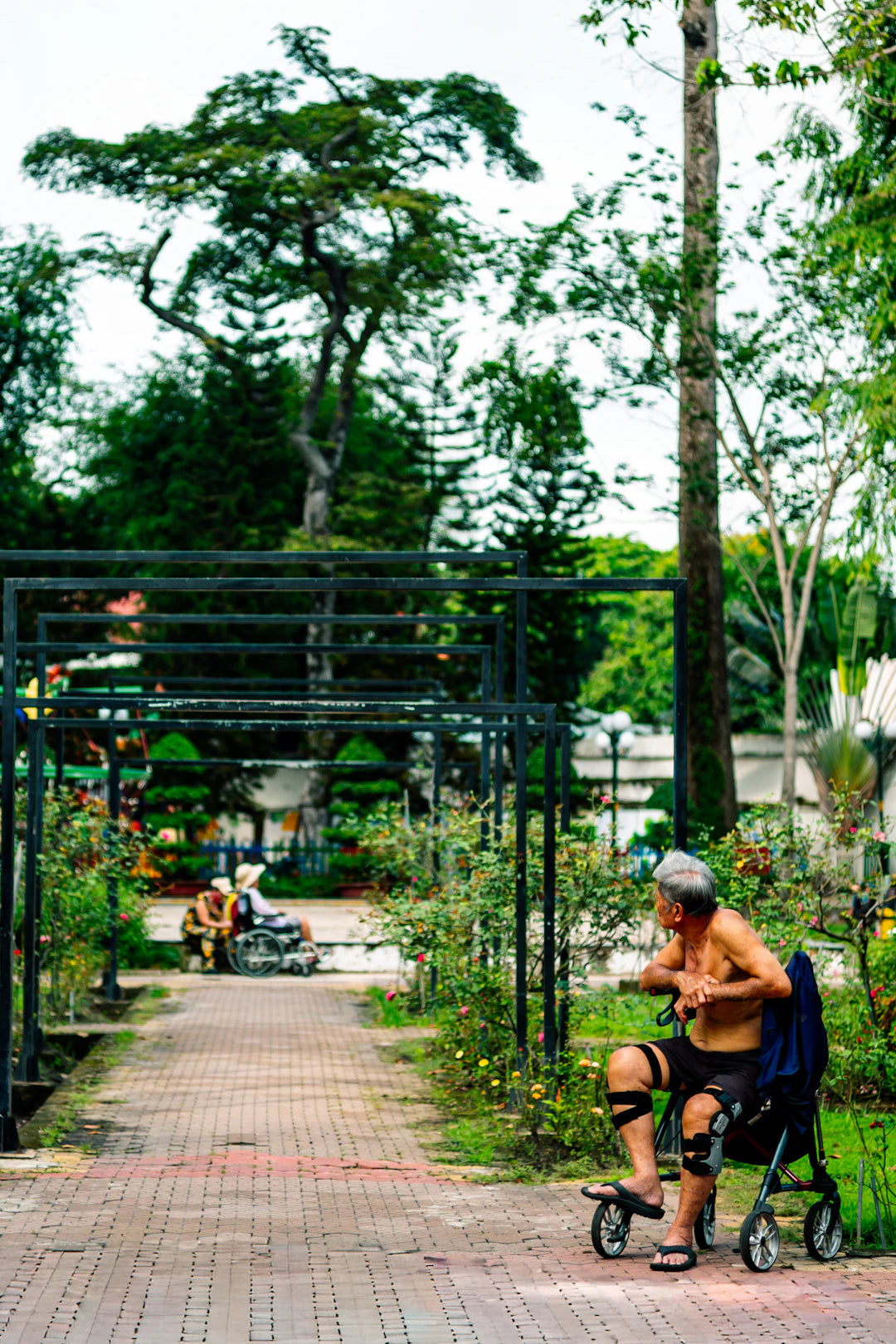 The Environment's Role in the Ageing Process