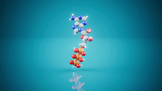 Unraveling Genetics The Key to Ageing Gracefully