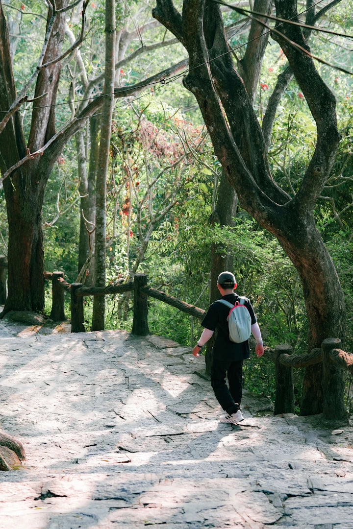 The Environment's Impact on Lifespan and Health Revealed
